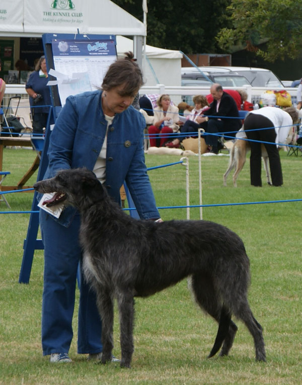 Rosslyn Pippa at Beardswood